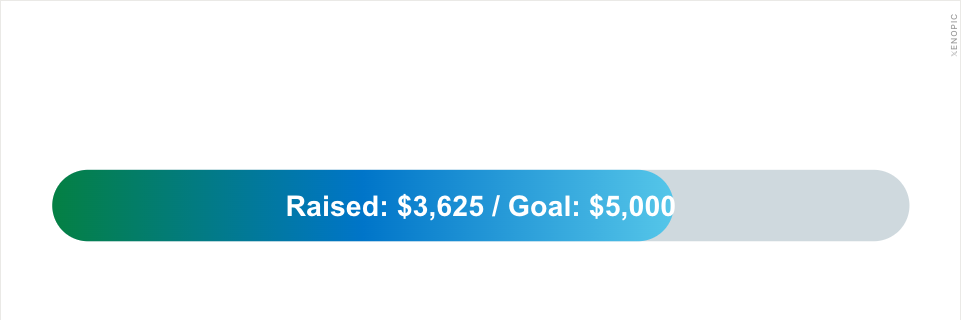 Fundraising progress bar widget on a Twitter banner